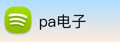 pa电子 logo